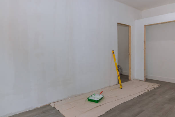 Best Drywall Sanding and Smoothing  in Excelsior Springs, MO